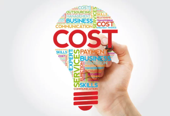 Website development cost